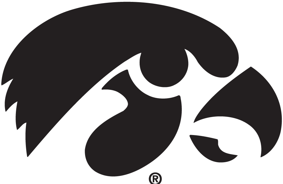 Iowa Hawkeyes 1979-Pres Alternate Logo iron on heat transfers